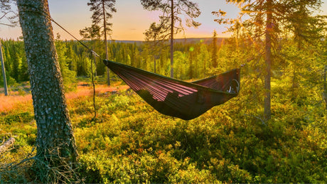Hängematte zwischen Bäumen aufgespannt bei Sonnenuntergang: Hängematten mieten