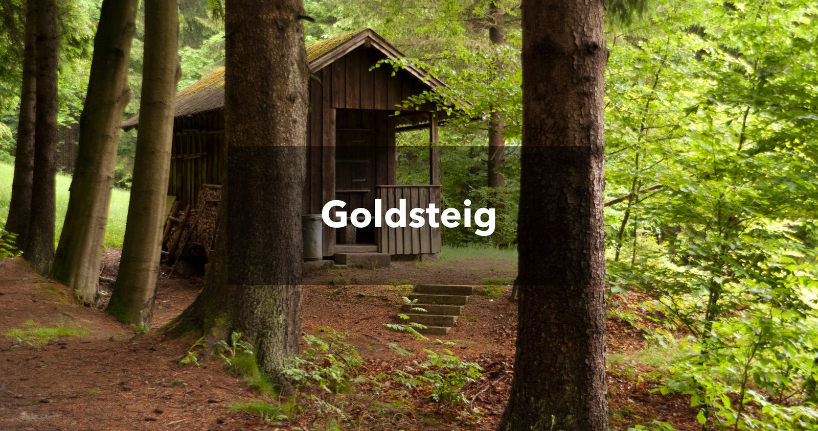 Weg der an einer Hütte im Wald vorbeiführt: Goldsteig