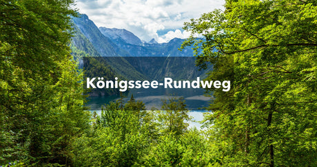 Schöner Blick zwischen Bäume hindurch auf den: Königssee-Rundweg