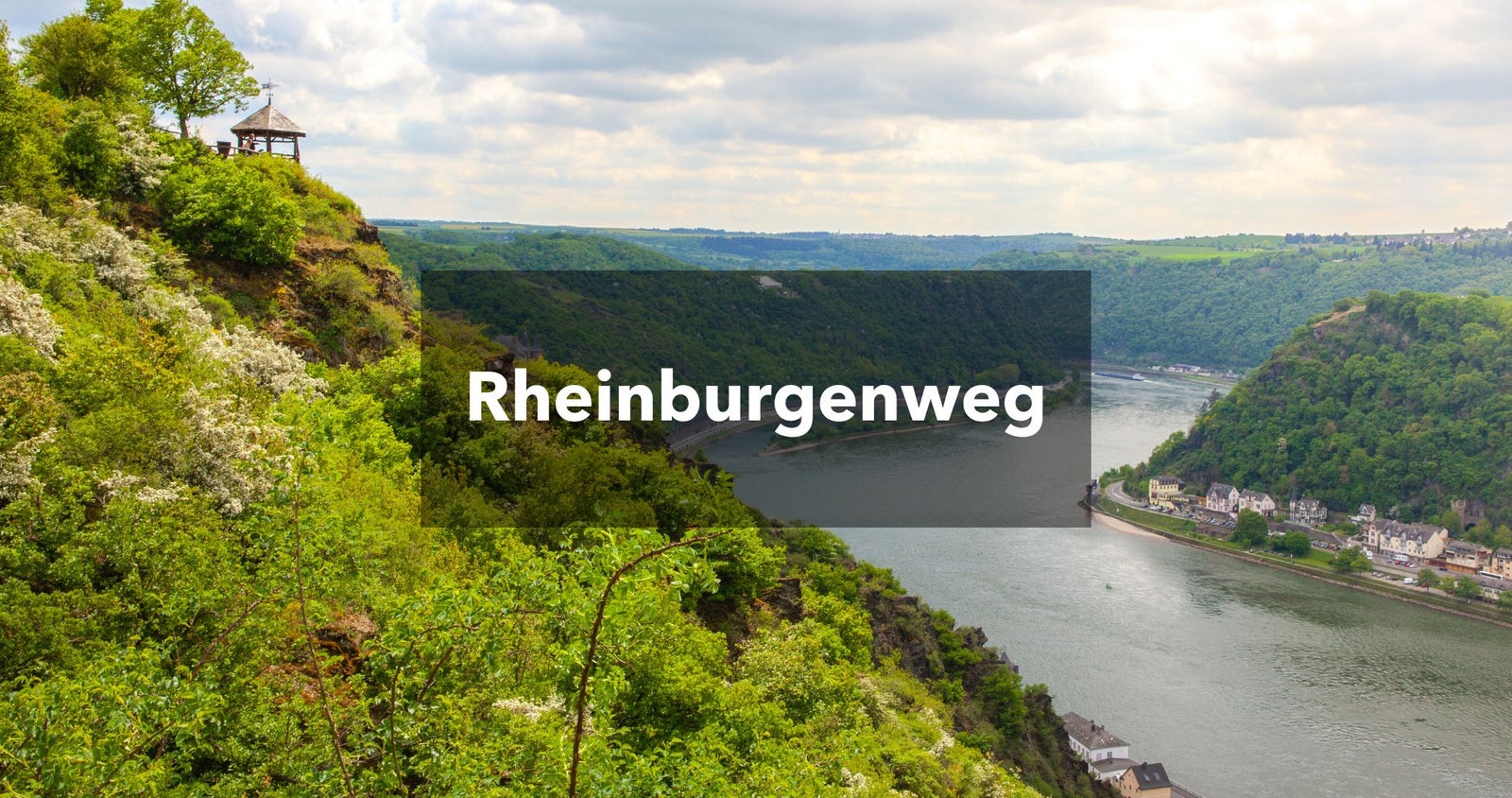 Aussicht auf den Rhein: Rheinburgenweg