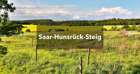 Grüne Weide mit weiter Sicht ins Land: Saar-Hunsrück-Steig