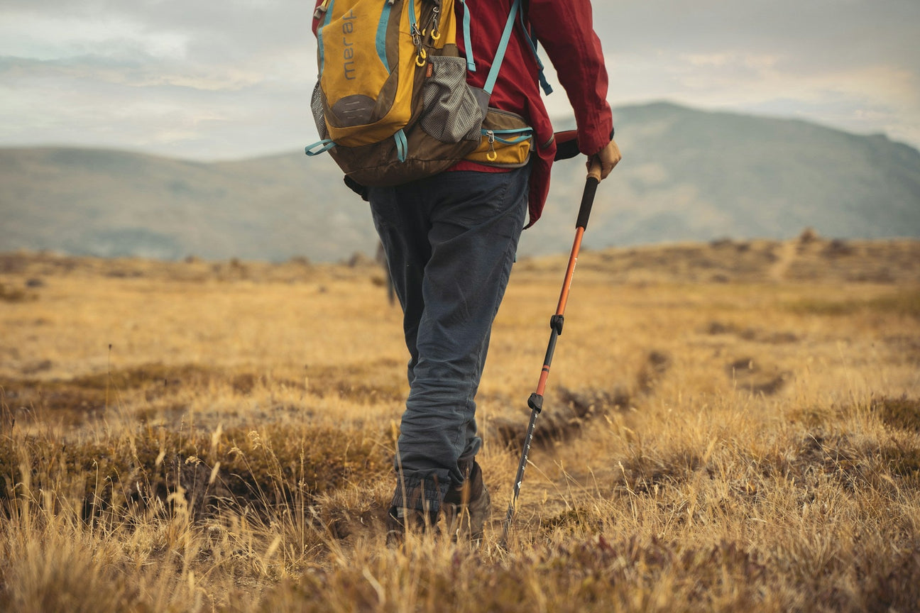 Wanderer steht auf einer Herbstlichen Wiese mit Rucksack auf dem Rücken und Stöcken in der Hand