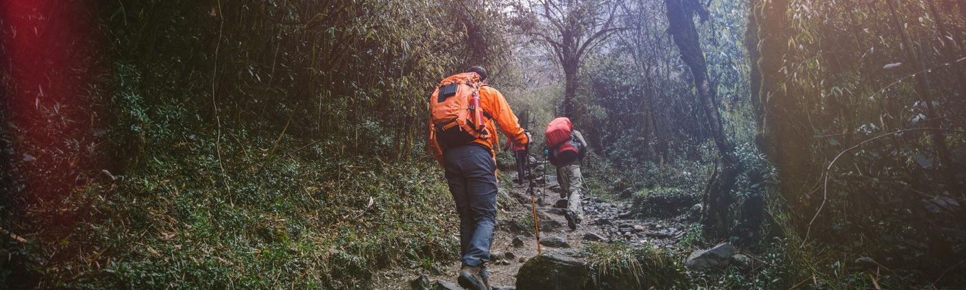 Gruppe Wanderer läuft einen Steinigen Wanderweg im Wald hinauf: Trekkingausrüstung mieten