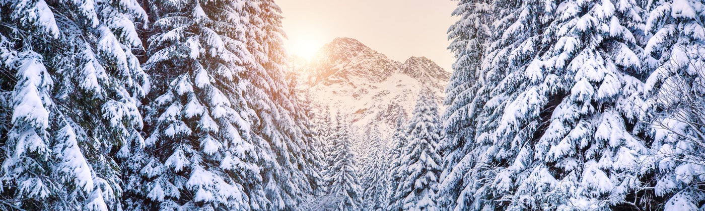 Verschneiter Wald mit blick auf Verschneite Berge: Winterausrüstung mieten